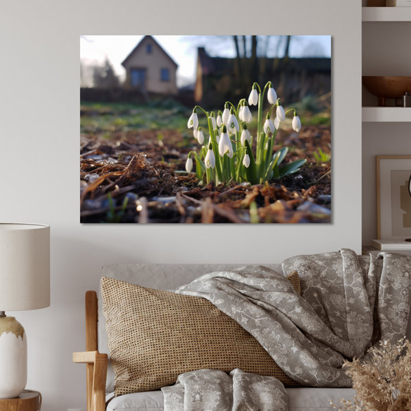 Latitude Run Snowdrops Floral Serenity I Unframed Print On Metal